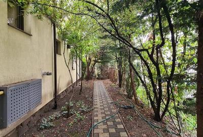 De inchiriat apartament 3 camere in vila zona Favorit-Circumvalatiunii - 10