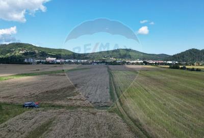 Teren intravilan de vânzare 1180 mp – Zărnești - 15