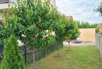 Braytim-Giroc | 2 camere | Liniște | Mobilat-Utilat | Parcare | - 22
