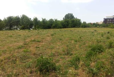 Teren 6000 mp pozitie deosebita lacul Baneasa adancime 140 m - 14