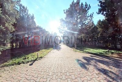 Vila deosebita pe Malul Lacului Grivita – Confort si Eleganta! - 4