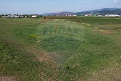 Teren 39,500mp Vintu de Jos - 3
