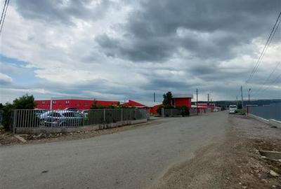 Teren intravilan de vanzare in Tg Trotus - 6
