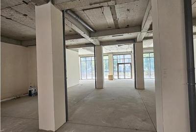 Spatiu Comercial - 200 mp - Balanta - Clinica Medicala - Showroom - Comert - Ser - 10