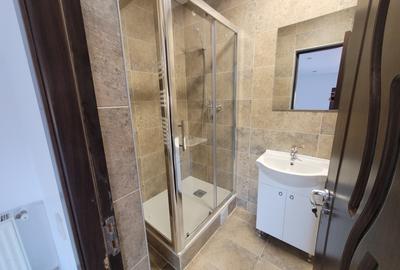 Casa individuala, ideala sediu firma Rahova- Teius - 16