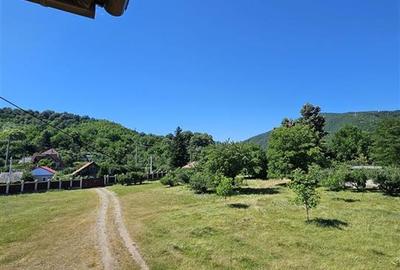 TEREN INTRAVILAN DEVANZARE 33161 MP DE VANZARE TARGU OCNA - 38