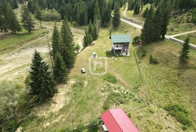 Teren Voronet 4700mp INTRAVILAN | Gura Humorului | Bucovina - 2