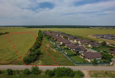 Teren intravilan, Balotești, Strada Cameliei 36, 10.000 mp - 1