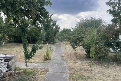 Casa | 9 camere | Garaj | Piscina | Teren 3.000 mp | Comision 0% - 44