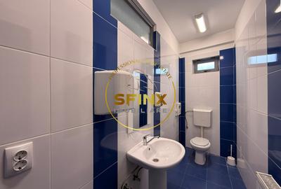 Cladire multifunctionala – sediu business , 1160 mp, garaj 11 masini, Cotroceni - 14