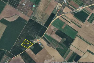 5,7 Ha. vav de Dovinot - Mihailesti, teren intravilan cu deschidere la DN6