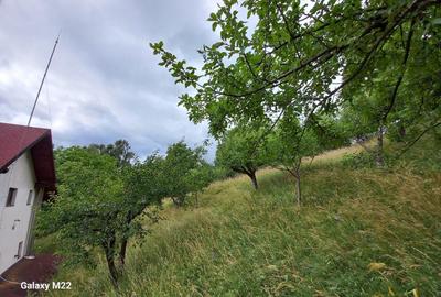 Bran, casa si teren , Zona Club Vila Bran - 10