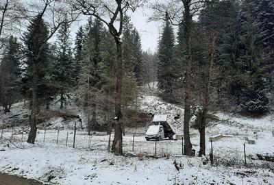 Teren - 6