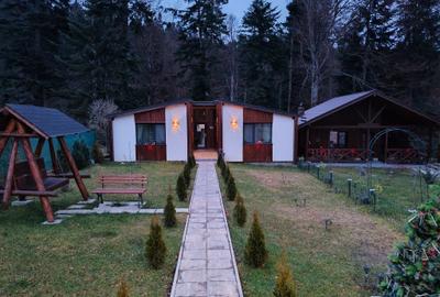 Casa P de vanzare in Busteni, constructie 2023 - comision 0% - 1