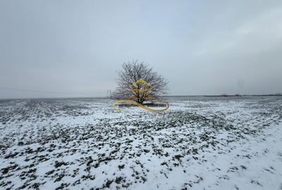 Teren agricol extravilan in Itesti de vanzare - 8