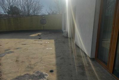 Casa de vanzare la 5 min de Centru cu trei nivele (D+P+1) si teren de 4300mp - 29