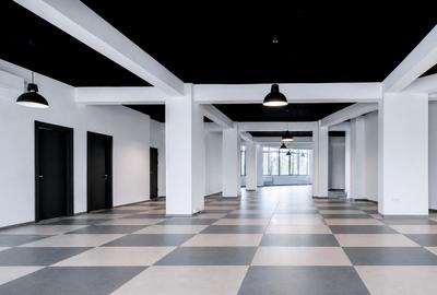 Spatiu comercial - zona Brotacei - 1