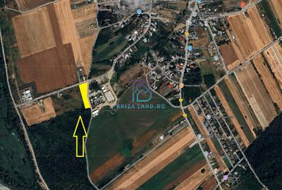 Domnesti, Teghes, teren la padure, str. Argesului, teren 2475mp, d=36.2m - 1