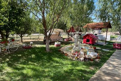 Refugiul Tău Verde: Casă Spațioasă cu Livadă, Anexe și Panouri Solare - 3