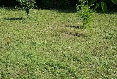 Sarata, Dealu Nou, teren 2800mp - 3