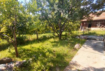 Vând casă cu teren mare în cartierul Dâmbul Rotund - 4