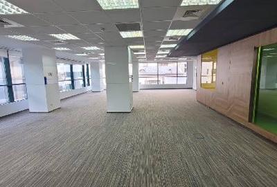 Casa Daneza, Icoanei, 259 - 632 mp  0% comision! - 14