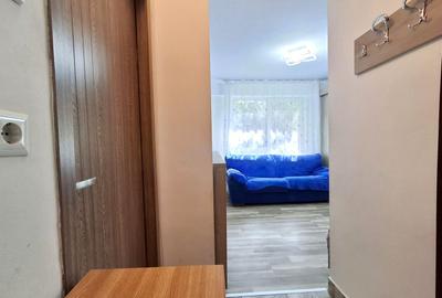 De Vanzare Garsoniera Teiul Doamnei zona Lacul Tei - 15