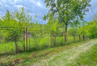 Teren 1500mp, intravilan cu utilitati, in proximitatea complexului Vila Bran - 12