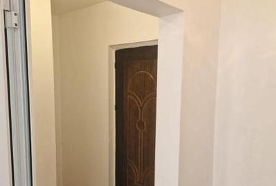 Dristor-posta Baba Novac-stradal - 8