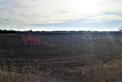 Teren intravilan de 8800 mp, în Odăi
