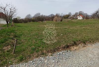 Teren Intravilan 3093 mp-ideal case/cabane/pensiune-Bistrita Bargaului - 1