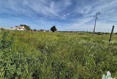 Teren intravilan Techirghiol - 3