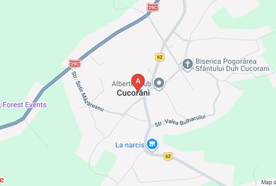 Vând teren intravilan, 4000metri  ,cu o deschidere de 125 metri, la str,principa - 1