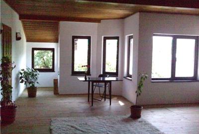 Casă P+1 în Ciugud – Teren generos de 3.125 mp, zonă liniștită - 7