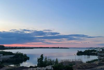 Tomis Nord  Campus - 1