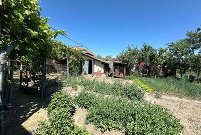 Casa Cocheta, Locuibila imediat,  cu Gradina si Curte,1500mp., Com.Birda. - 27