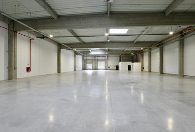 Hală modernă producție, depozitare cu panouri solare – 4.713 mp - 6