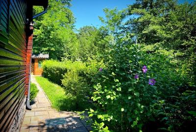 Casă de vacanță tip Chalet pe Valea Muresului - 4