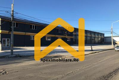 Spațiu industrial, de 550.00 mp, în Malu Roșu