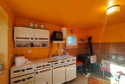 Casa de vanzare/schimb in Panticeu cu gradina mare - 12
