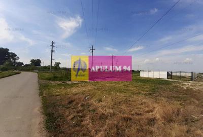 Teren construcție casă - 1 Decembrie - Zona Metropolitană București - 6