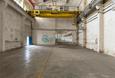 Royal Imobiliare - Inchiriere spatiu industrial zona Vest - 4