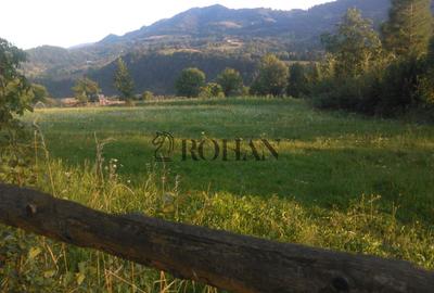 Teren intravilan 5360mp Bistrita Nasaud | Tiha Bârgăului - 6