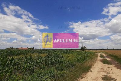 Teren 715mp în Snagov lângă Equestria - 32