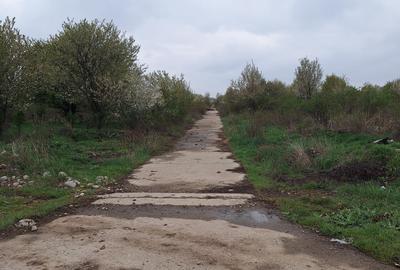 Teren intravilan Calea Borsului - 5