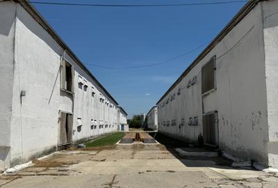 Hala | Spatiu depozitare, productie de inchiriat | Les, Bihor - 4