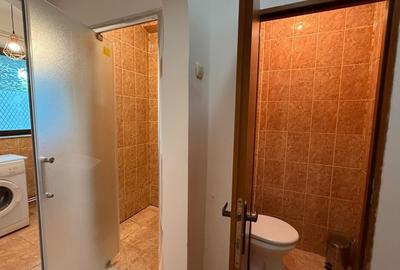 COPOU, UNIVERSITATEA CUZA, APARTAMENT CU 1 CAMERA DE INCHIRIAT - 6