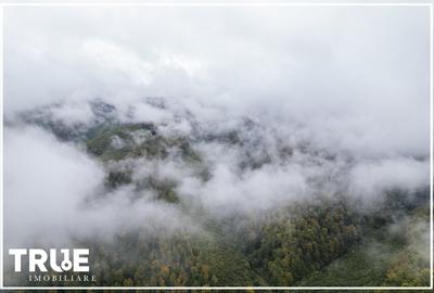 Teren intravilan Câmpul Cetății 2600m? - zonă de vacanță - 12