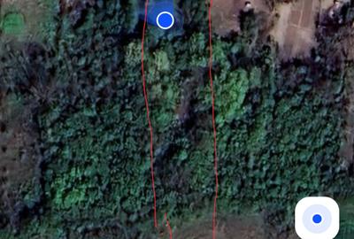 Vanzare Teren Bulbucata Girgiu - 8