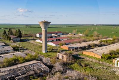 De vanzare Complex Zootehnic Suine Jud. Arad SU 15.30ha, Ferma, Grajd - 11